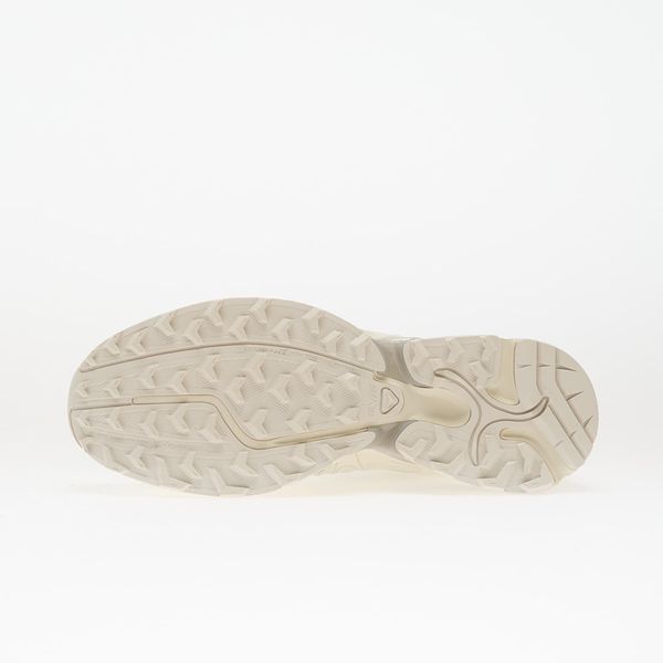 Оригінальні кросівки Salomon XT-Whisper Void "Vanilla Ice / Vanilla Ice / Ftw Silver" (L47796200) L47796200 фото