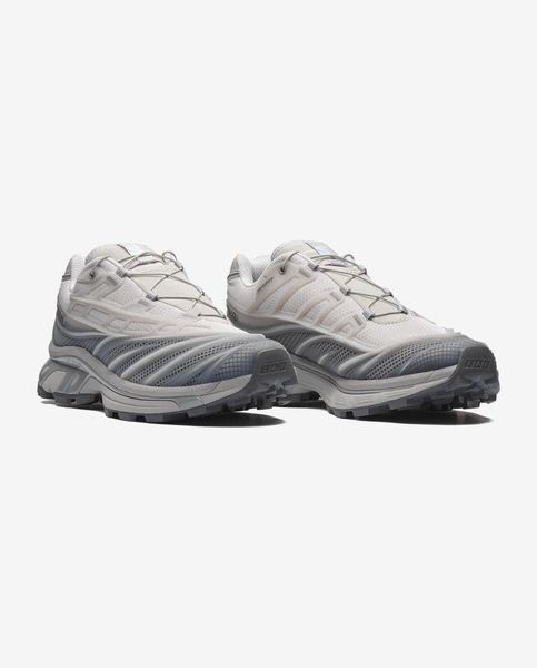 Оригинальные кроссовки Salomon XT-EVO "Alloy / Castlerock / Ftw Silver"(L45419100) L45419100 фото
