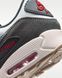 Оригинальные мужские кроссовки Nike Air Max 90 Premium "Summit White/College Grey/Anthracite/Particle Grey" (IW6954-121) IW6954-121 фото 7