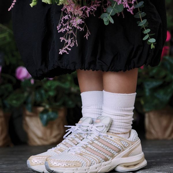 Оригінальні кросівки adidas Adistar Control 5 "Off White/ Blush Pink/ Grey Two" (IH1799) IH1799 фото