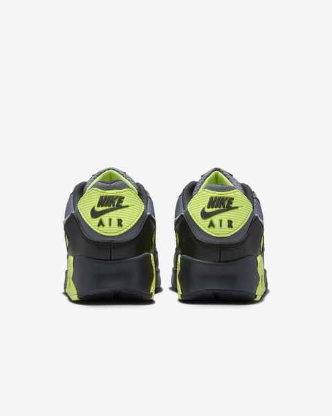 Оригинальные мужские кроссовки Nike Air Max 90 "Smoke Grey/Light Lemon Twist/Black" (DM0029-012) DM0029-012 фото
