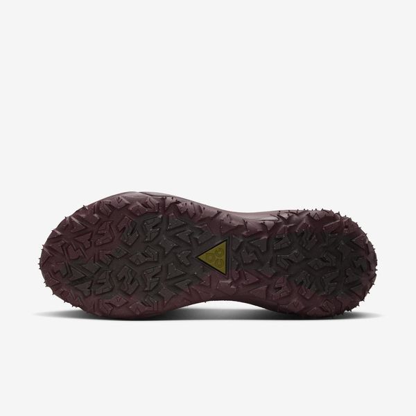 Оригінальні чоловічі кросівки Nike ACG Mountainfly Low 2 Gore-tex "Velvet Brown/Burgundy Crush" (HF6245-200) HF6245-200 фото