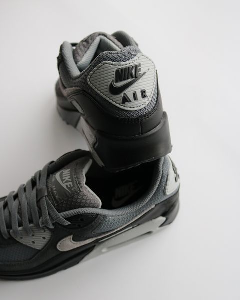 Оригінальні чоловічі кросівки Nike Air Max 90 "Smoke Grey/Black/Dark Smoke Grey/Photon Dust" (DM0029-020) DM0029-020 фото