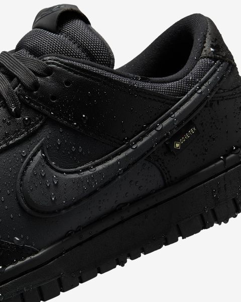 Оригинальные мужские кроссовки Nike Dunk Low GORE-TEX "Black / Off Noir / Anthracite" (HQ2053-001) HQ2053-001 фото