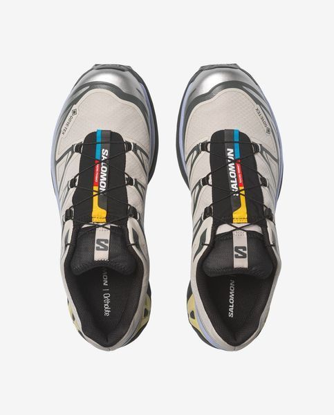 Оригінальні кросівки Salomon XT-6 Gore-Tex "Silver Cloud / Urban Chic / Shadow Green"(L49216100) L49216100 фото