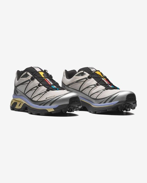 Оригінальні кросівки Salomon XT-6 Gore-Tex "Silver Cloud / Urban Chic / Shadow Green"(L49216100) L49216100 фото