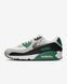 Оригінальні чоловічі кросівки Nike Air Max 90 "Summit White/Evergreen Aura/Vast Grey/Smoke Grey" (DM0029-116) DM0029-116 фото 1