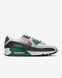 Оригінальні чоловічі кросівки Nike Air Max 90 "Summit White/Evergreen Aura/Vast Grey/Smoke Grey" (DM0029-116) DM0029-116 фото 3