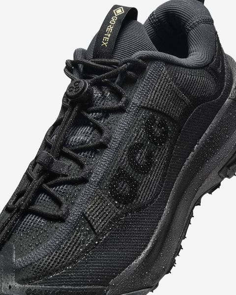 Оригінальні чоловічі кросівки Nike ACG Mountainfly Low 2 Gore-tex "Dark Smoke Grey / Black" (HF6245-001) HF6245-001 фото