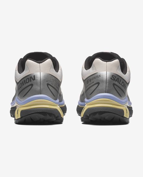 Оригінальні кросівки Salomon XT-6 Gore-Tex "Silver Cloud / Urban Chic / Shadow Green"(L49216100) L49216100 фото